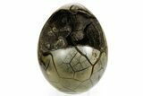 Septarian Dragon Egg Geode - Black Crystals #364467-1